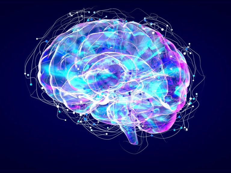 brain-xray-human-anatomy-3d-illustrated-neurons