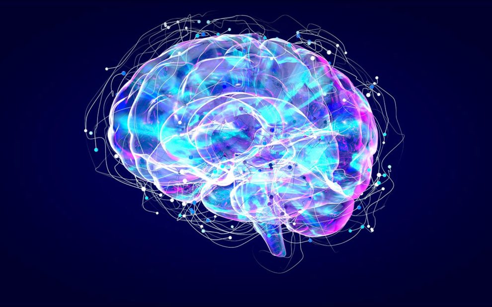 brain-xray-human-anatomy-3d-illustrated-neurons