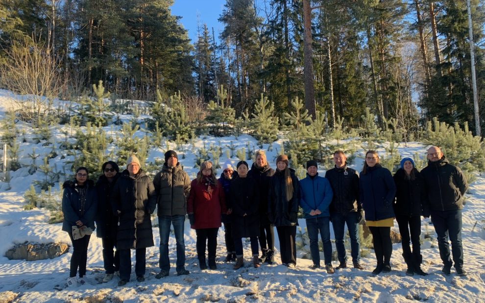 Finland-5