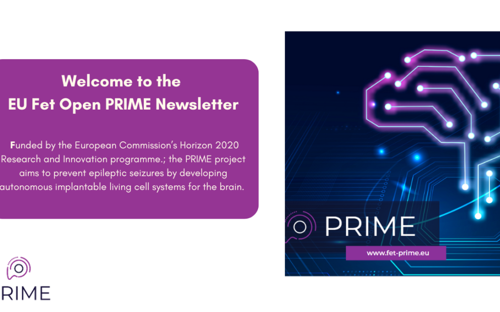 PRIME-newsletter
