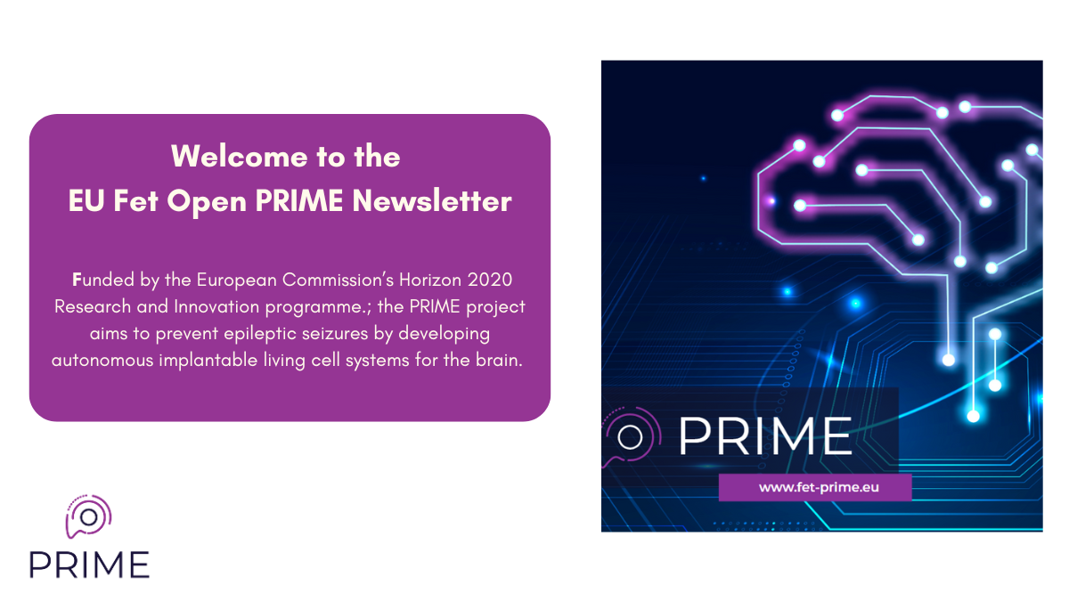PRIME-newsletter